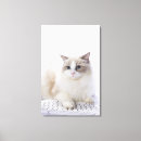 Search for computer canvas prints Animal