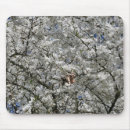 Search for flowering spring tree mousepads Blossom