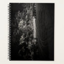 Search for night photography office supplies Nature