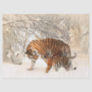 Search for wrapping tissue paper Snow
