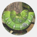Search for snake stickers Green