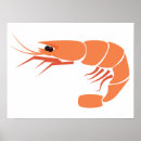 Search for shrimp posters Wildlife