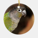 Search for conure christmas tree decorations Bird