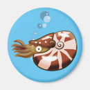 Search for nautilus magnets Ocean