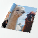 Search for alpaca wrapping paper Animal