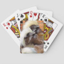 Search for monkey playing cards Cute
