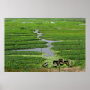Search for cambodian art Asia