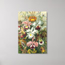 Search for orchids art Flowers