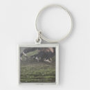 Search for teamwork key rings Togetherness