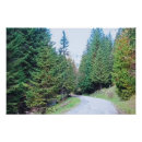Search for forest posters Hiking