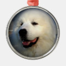 Search for great pyrenees dog christmas tree decorations Dogs