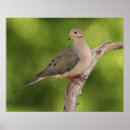 Search for depth of field art Nature