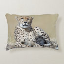 Search for cheetah cushions Wildlife