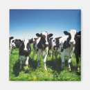 Search for fields magnets Nature