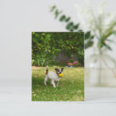 Search for charlie postcards Dog