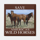 Search for environment magnets Protect