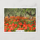 Search for red tree postcards Nature