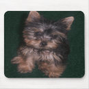 Search for yorkies mousepads Puppy