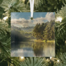 Search for pond christmas tree decorations Forest