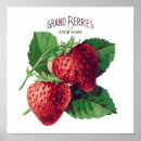 Search for strawberrys posters For her