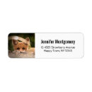 Search for wilderness animal return address labels Nature