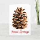 Search for israel christmas cards Bible