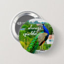 Search for peacock badges Bird