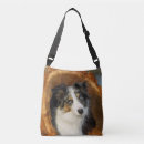 Search for border collie bags Pets