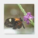 Search for ups magnets Purple