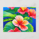 Search for hibiscus flower postcards Flowers