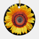 Search for sunflower christmas tree decorations Flowers