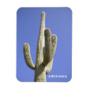 Search for sonoran magnets Saguaro