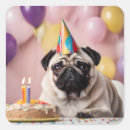 Search for pug birthday stickers Cute