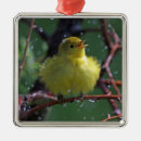 Search for ornithology christmas tree decorations Bird watching