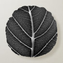 Search for black leaf cushions Nature photography