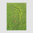 Search for green grass tissue paper Foliage