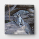 Search for work plaques Animal