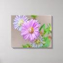 Search for asters art Pink