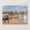 Search for africa postcards Rhino