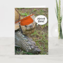 Search for tortoise cards Funny
