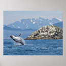 Search for humpback whale posters Wildlife