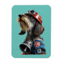 Search for dachshund magnets Wirehaired