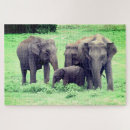 Search for elephant family puzzles Nature