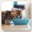 Search for persian coasters Blue