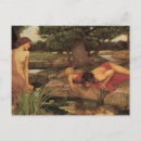 Search for narcissus Greek
