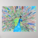 Search for white peacock posters Peacocks
