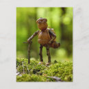 Search for summer camp postcards Funny