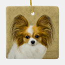 Search for papillon christmas tree decorations Butterfly
