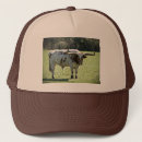 Search for horned hats Bull