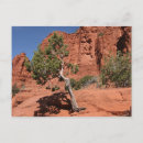Search for sedona postcards Sky
